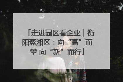 走进园区看企业｜衡阳蒸湘区：向“高”而攀 向“新”而行