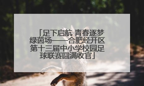 足下启航 青春逐梦绿茵场——合肥经开区第十三届中小学校园足球联赛圆满收官