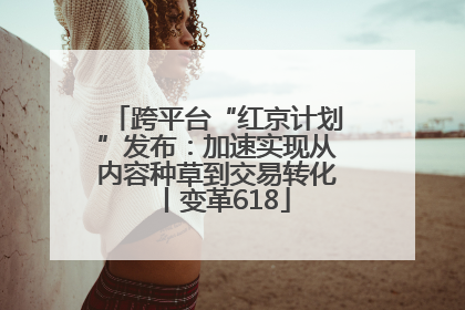 跨平台“红京计划”发布：加速实现从内容种草到交易转化丨变革618