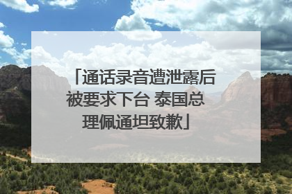 通话录音遭泄露后被要求下台 泰国总理佩通坦致歉