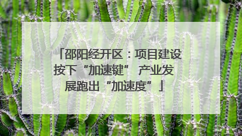 邵阳经开区：项目建设按下“加速键” 产业发展跑出“加速度”
