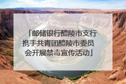 邮储银行醴陵市支行携手共青团醴陵市委员会开展禁毒宣传活动