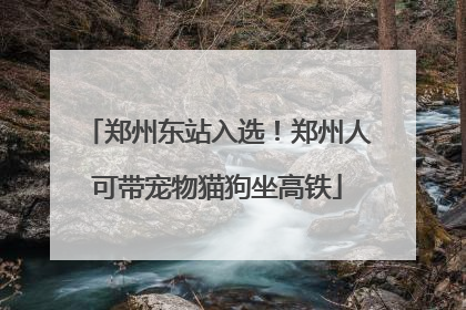郑州东站入选！郑州人可带宠物猫狗坐高铁