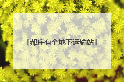 郝庄有个地下运输站
