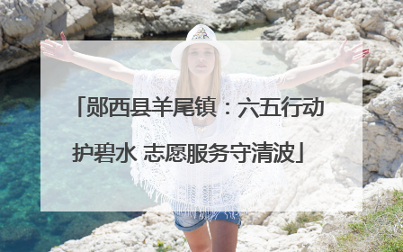 郧西县羊尾镇：六五行动护碧水 志愿服务守清波
