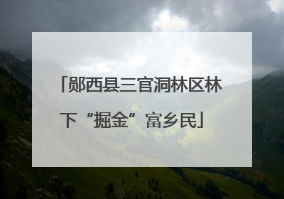 郧西县三官洞林区林下“掘金”富乡民