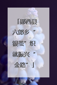 郧西县六郎乡“银茧”织就振兴“金路”