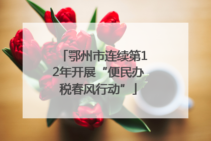 鄂州市连续第12年开展“便民办税春风行动”