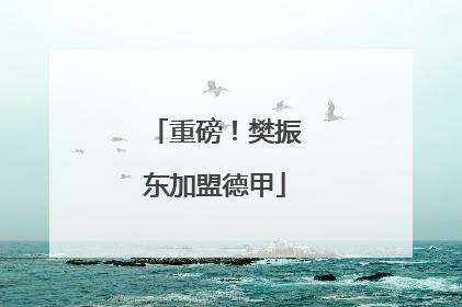 重磅！樊振东加盟德甲