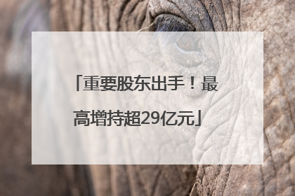 重要股东出手！最高增持超29亿元