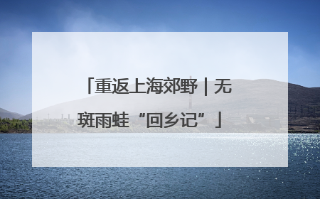 重返上海郊野｜无斑雨蛙“回乡记”