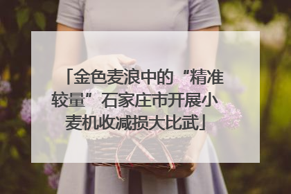 金色麦浪中的“精准较量”石家庄市开展小麦机收减损大比武