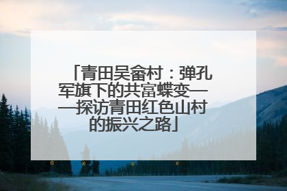 青田吴畲村：弹孔军旗下的共富蝶变——探访青田红色山村的振兴之路