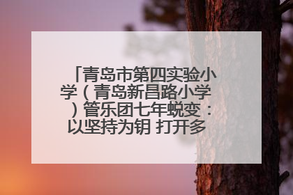 青岛市第四实验小学（青岛新昌路小学）管乐团七年蜕变：以坚持为钥 打开多元成长之门