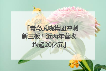 青岛武晓集团冲刺新三板！近两年营收均超20亿元