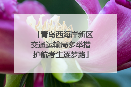 青岛西海岸新区交通运输局多举措护航考生逐梦路