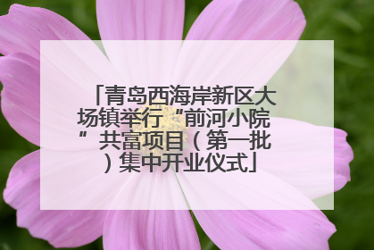 青岛西海岸新区大场镇举行“前河小院”共富项目（第一批）集中开业仪式