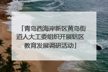 青岛西海岸新区黄岛街道人大工委组织开展辖区教育发展调研活动