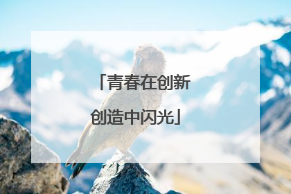 青春在创新创造中闪光