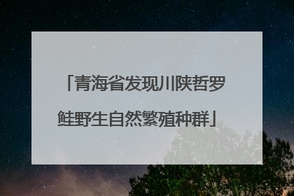 青海省发现川陕哲罗鲑野生自然繁殖种群