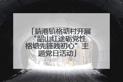 靖港镇格塘村开展“韶山红途砺党性 格塘先锋践初心”主题党日活动