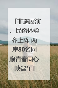 非遗展演、民俗体验齐上阵 两岸80名同胞青春同心映端午
