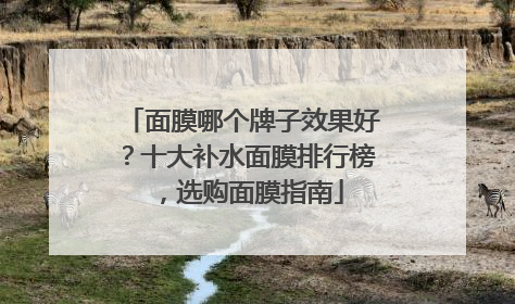 面膜哪个牌子效果好？十大补水面膜排行榜，选购面膜指南