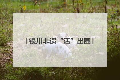 银川非遗“活”出圈