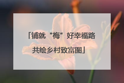 铺就“梅”好幸福路 共绘乡村致富图