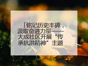 铭记历史丰碑，汲取奋进力量——大成社区开展“传承抗洪精神”主题党日活动