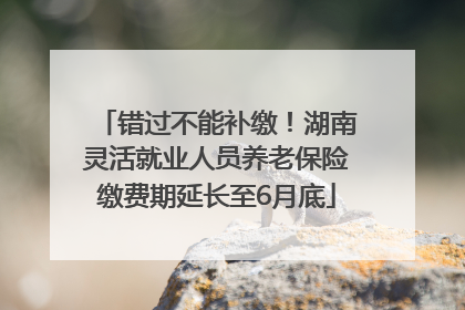 错过不能补缴！湖南灵活就业人员养老保险缴费期延长至6月底