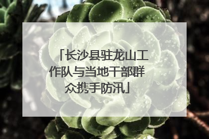 长沙县驻龙山工作队与当地干部群众携手防汛