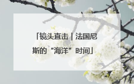 镜头直击｜法国尼斯的“海洋”时间