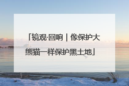 镜观·回响｜像保护大熊猫一样保护黑土地