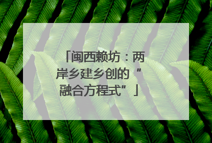 闽西赖坊：两岸乡建乡创的“融合方程式”