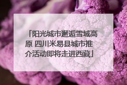 阳光城市邂逅雪域高原 四川米易县城市推介活动即将走进西藏