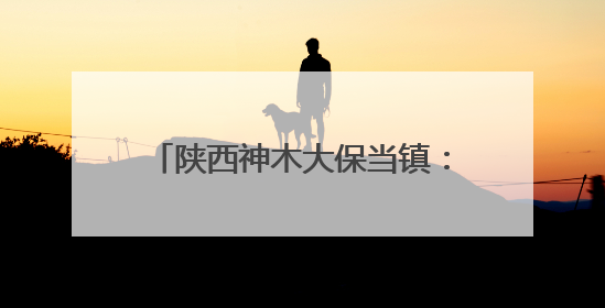 陕西神木大保当镇：筑牢交通安全防线 守护群众出行平安