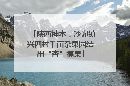 陕西神木：沙峁镇兴四村千亩杂果园结出“杏”福果