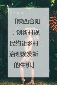 陕西合阳：创新村规民约让乡村治理焕发新的生机