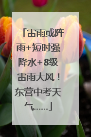 雷雨或阵雨+短时强降水+8级雷雨大风！东营中考天气……