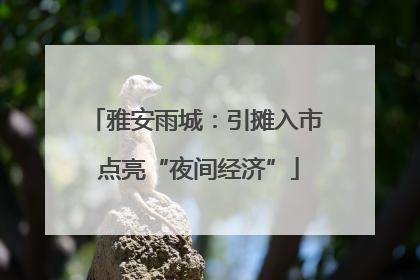 雅安雨城：引摊入市 点亮“夜间经济”