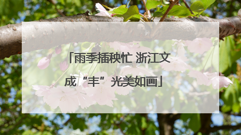 雨季插秧忙 浙江文成“丰”光美如画