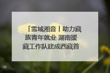 雪域湘音丨助力藏族青年就业 湖南援藏工作队建成西藏首个清洁能源装备园