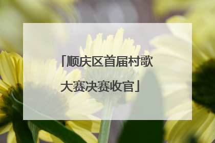 顺庆区首届村歌大赛决赛收官