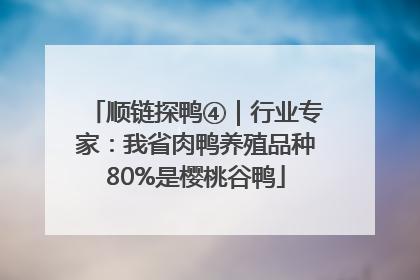 顺链探鸭④｜行业专家：我省肉鸭养殖品种80%是樱桃谷鸭