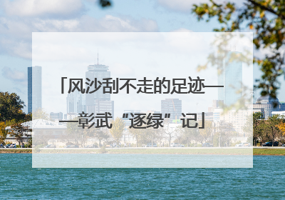 风沙刮不走的足迹——彰武“逐绿”记