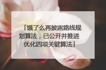 饿了么再披露路线规划算法，已公开并推进优化四项关键算法