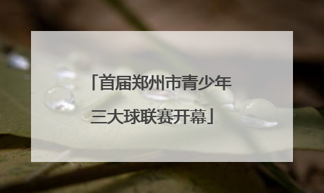 首届郑州市青少年三大球联赛开幕