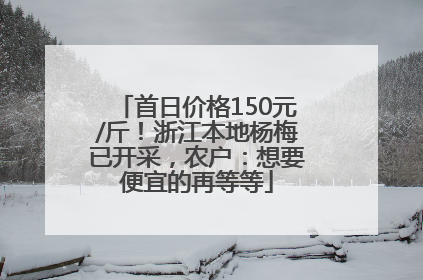 首日价格150元/斤！浙江本地杨梅已开采，农户：想要便宜的再等等