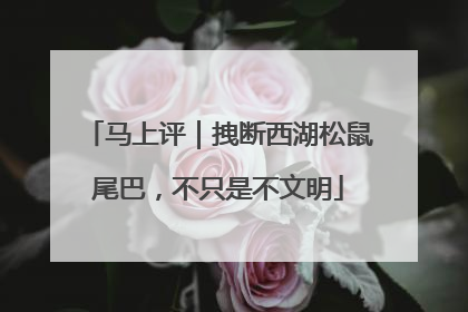 马上评｜拽断西湖松鼠尾巴，不只是不文明